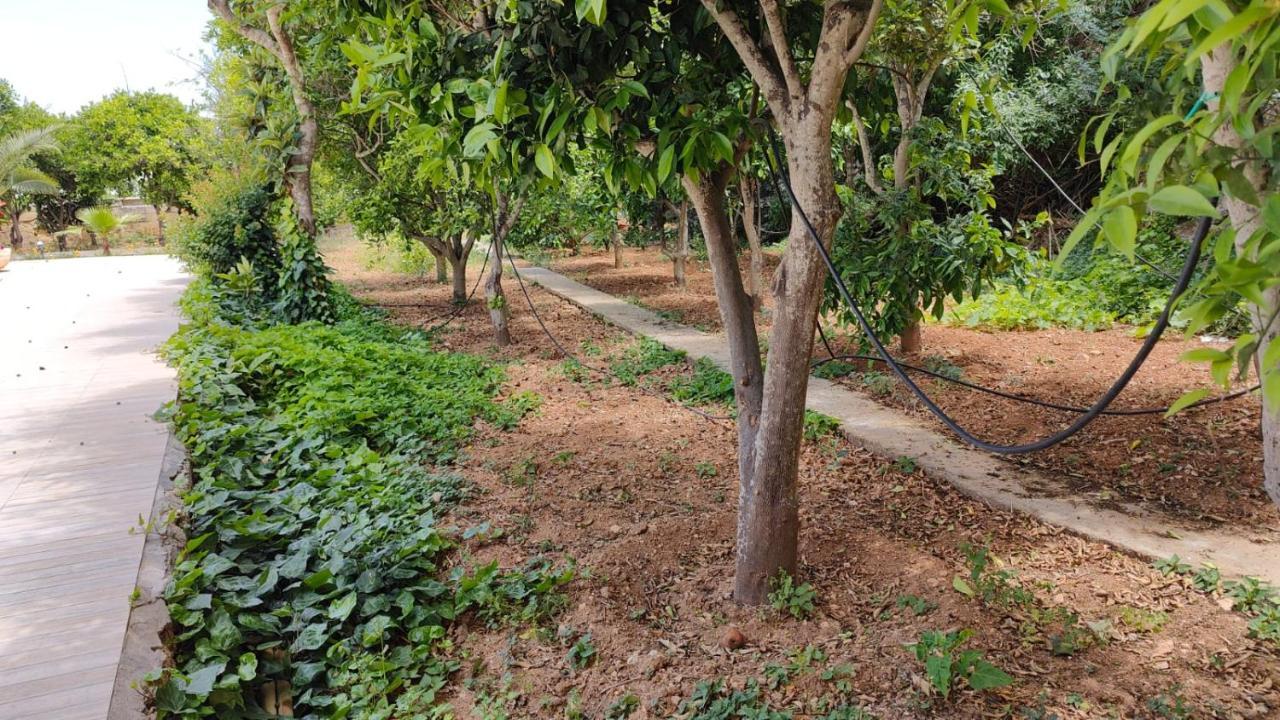 Stunning Villa With Pool, Table Tennis, Table Soccer And A Pool Table Naxxar Ngoại thất bức ảnh