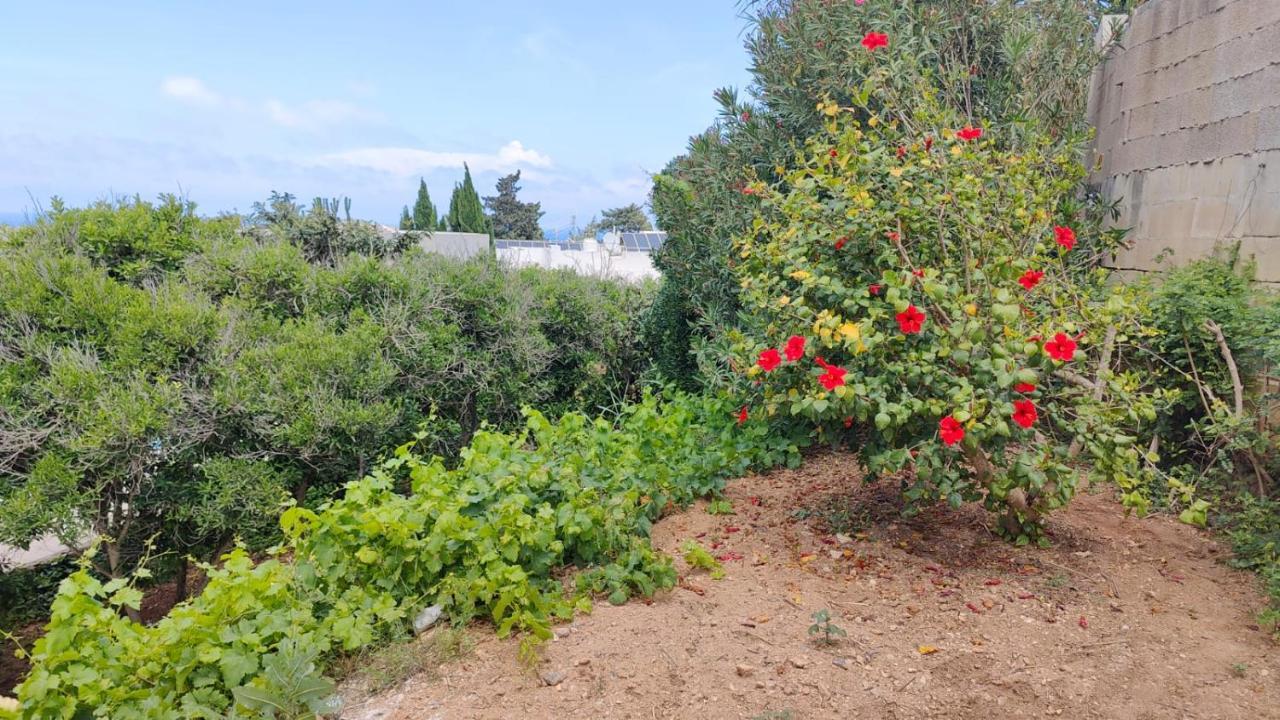 Stunning Villa With Pool, Table Tennis, Table Soccer And A Pool Table Naxxar Ngoại thất bức ảnh
