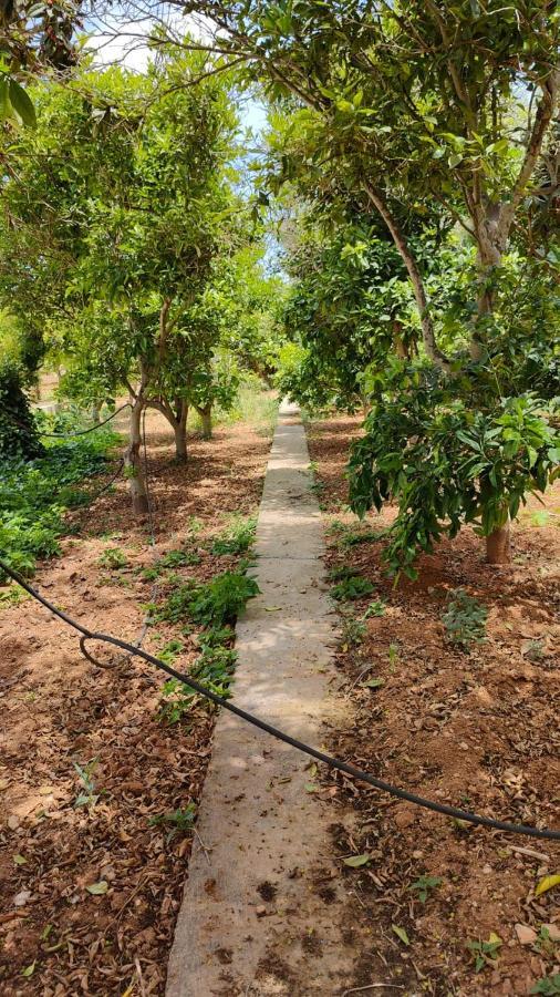 Stunning Villa With Pool, Table Tennis, Table Soccer And A Pool Table Naxxar Ngoại thất bức ảnh